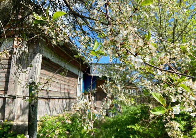 59 км, Воскресенск, Новорязанское шоссе фото