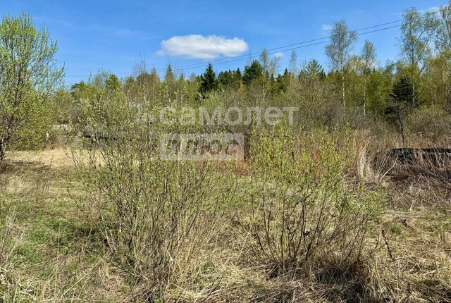 снт Восход сельское поселение Кривское фото