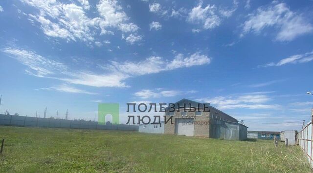 Ширококарамышское муниципальное образование фото
