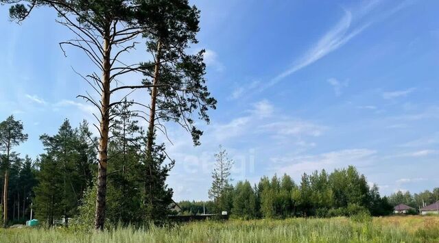 п Садовый пер Потешный Проспект Космонавтов, муниципальное образование фото