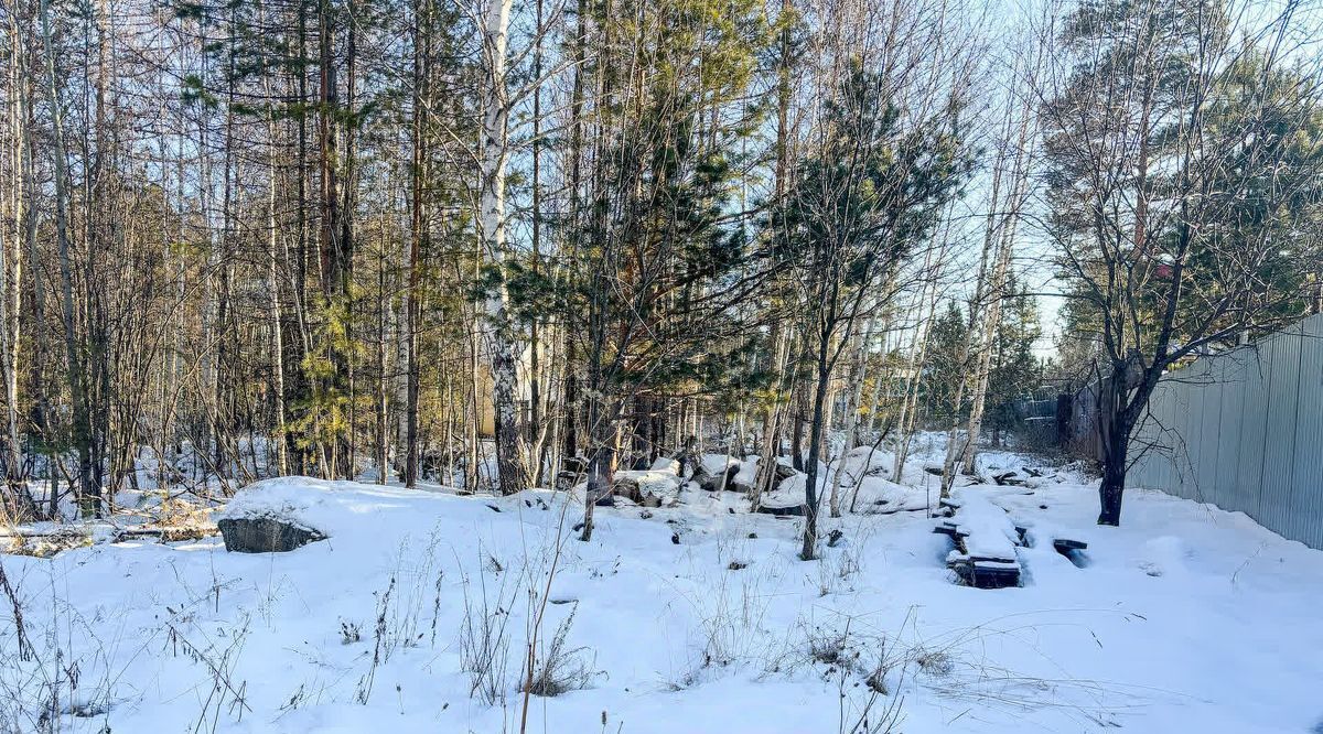 земля г Верхняя Пышма п Кедровое ул Спортивная 17 фото 4