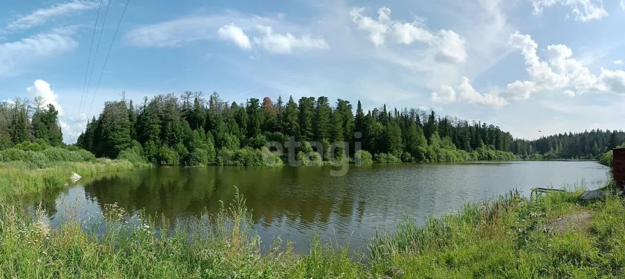 земля г Северск снт Сосна Богашёвское сельское поселение, Томский р-н, Лоскутово фото 10