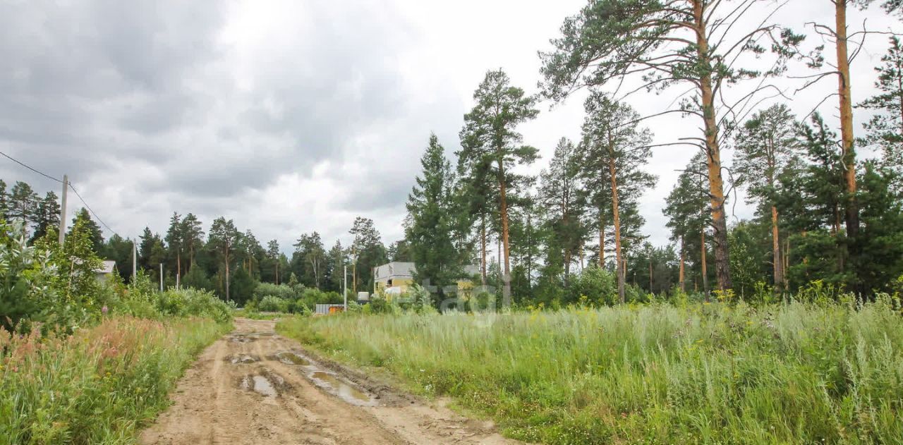 земля г Екатеринбург п Садовый пер Потешный Проспект Космонавтов, муниципальное образование фото 11