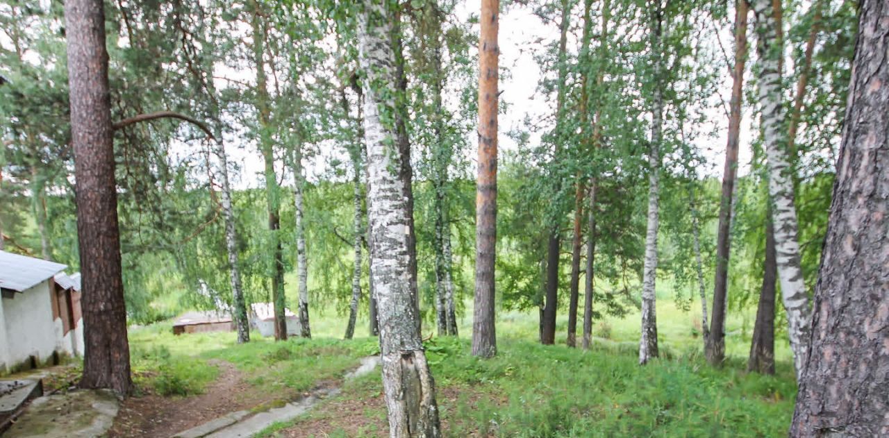земля г Верхняя Пышма п Исеть ул Лесная 29 фото 21