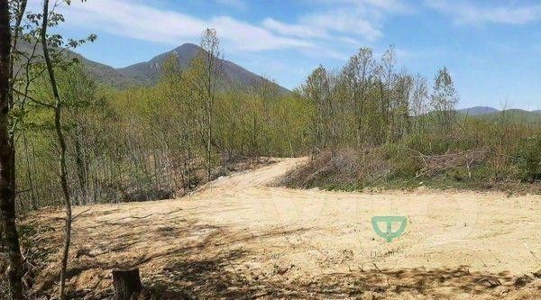 земля г Геленджик тер. ДНТ Океан фото 3