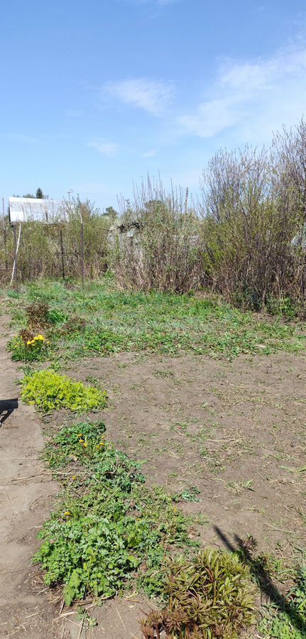 дом г Рубцовск снт N 6 ул Грушевая фото 2