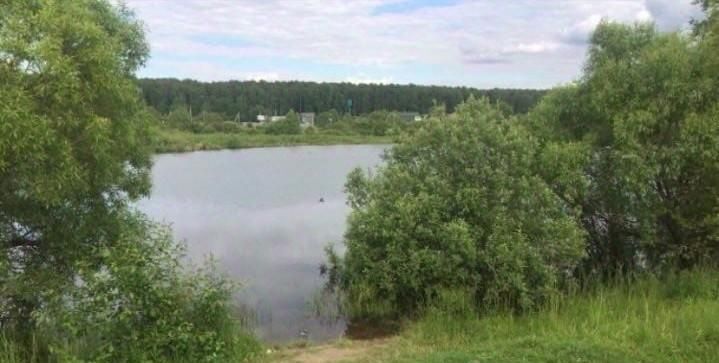 дом г Домодедово снт тер.Тонус-1 Домодедовская фото 5