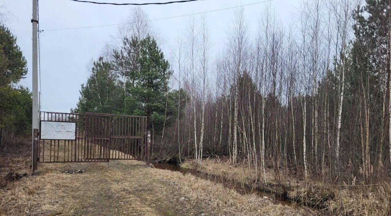 земля г Электрогорск снт Вереск Павлово-Посадский городской округ фото 2
