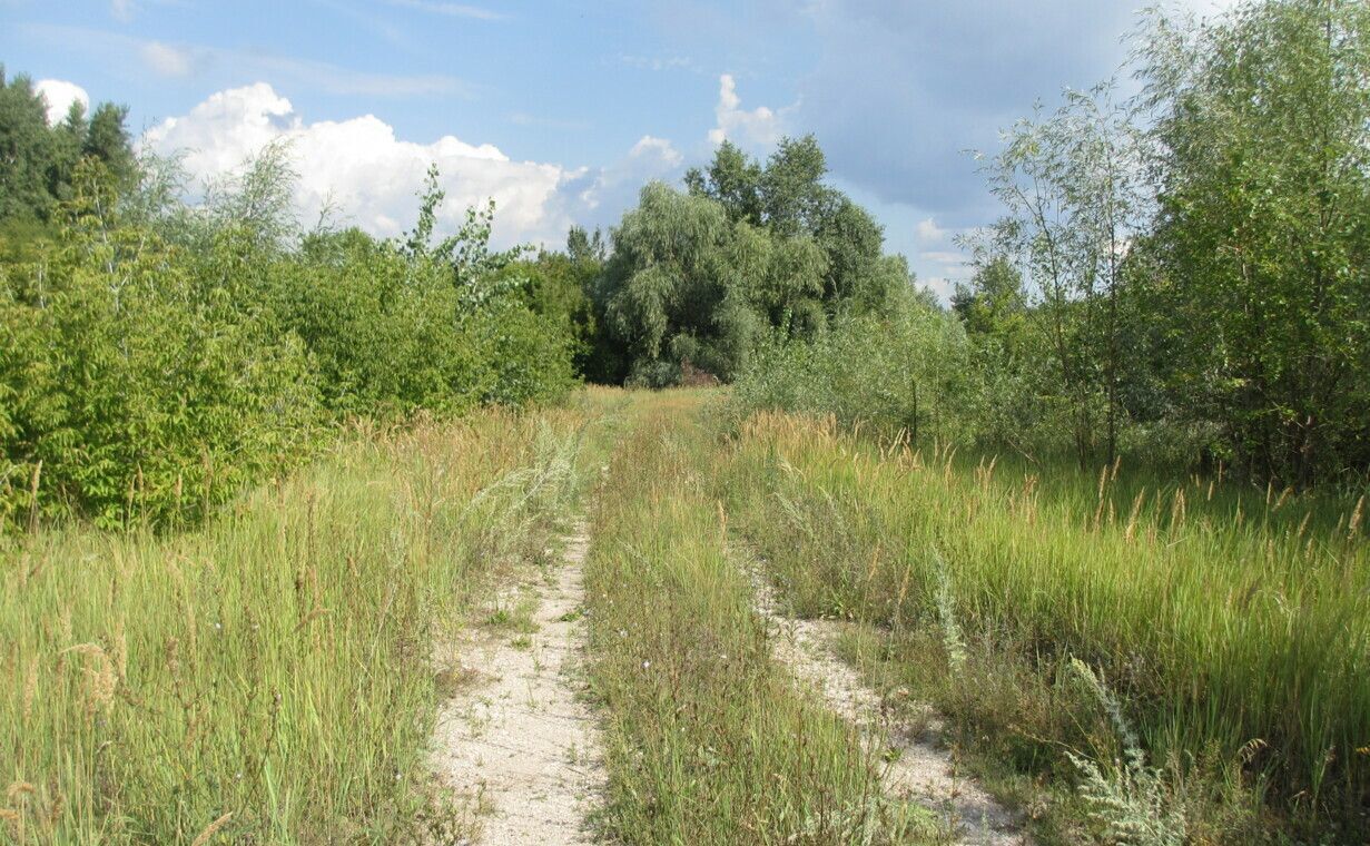 земля г Жигулевск ул Морквашинская фото 3