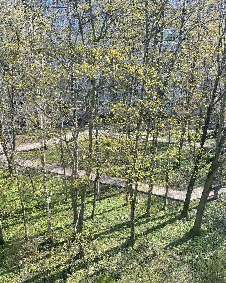 комната г Санкт-Петербург пр-кт Космонавтов 90 Звёздная фото 7