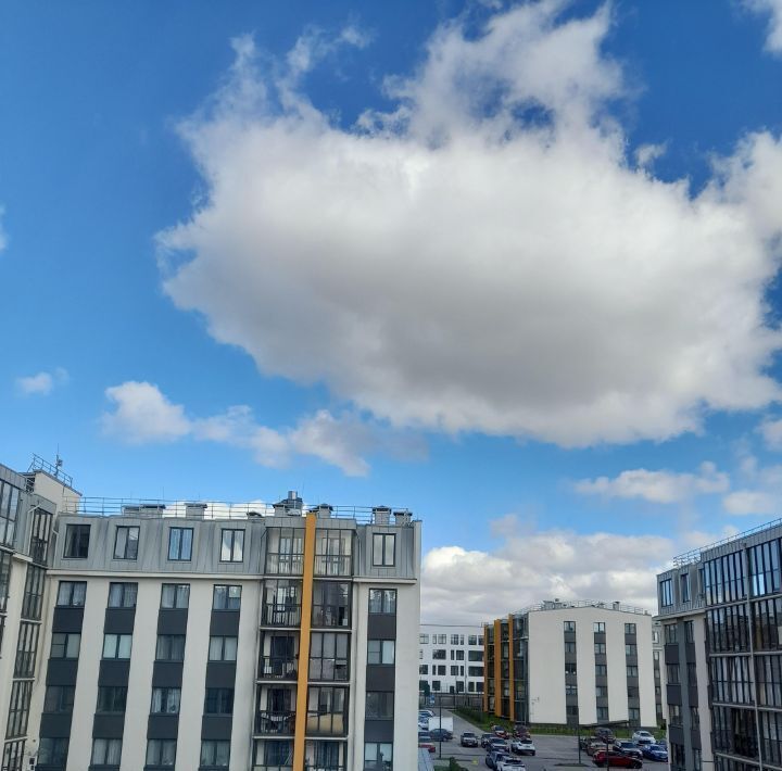 квартира г Пушкин ул Архитектора Данини 17к/1 метро Купчино фото 18