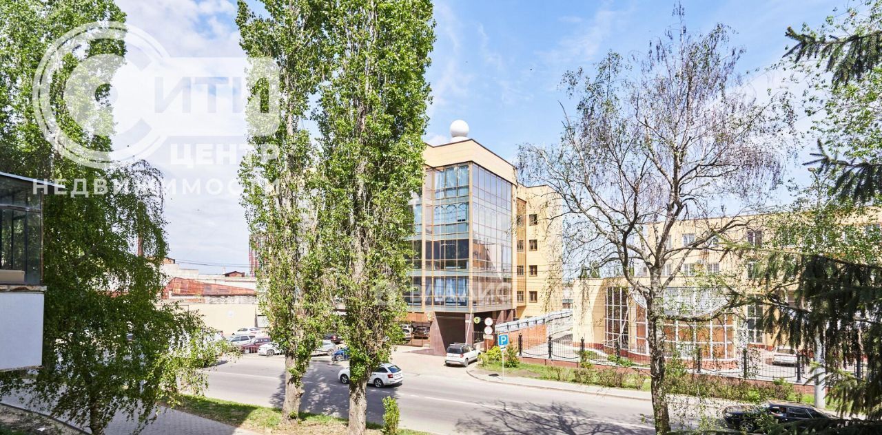 квартира г Воронеж р-н Центральный ул Средне-Московская 75 фото 23