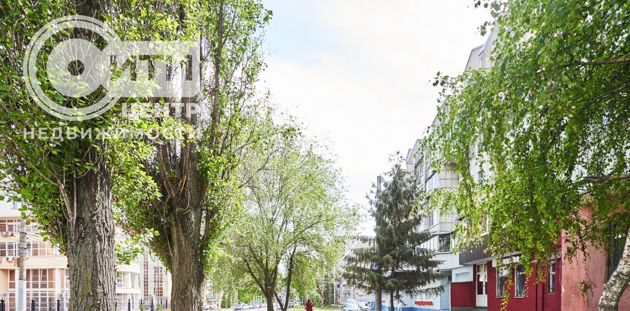 квартира г Воронеж р-н Центральный ул Средне-Московская 75 фото 48