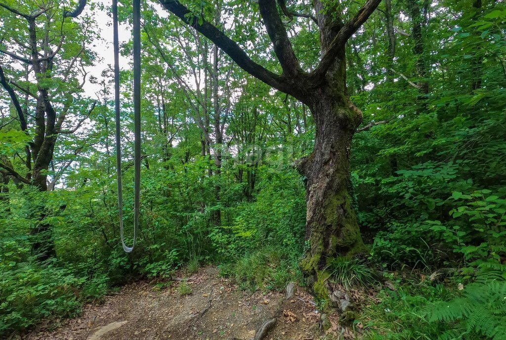 земля г Сочи с Русская Мамайка р-н Центральный внутригородской фото 4