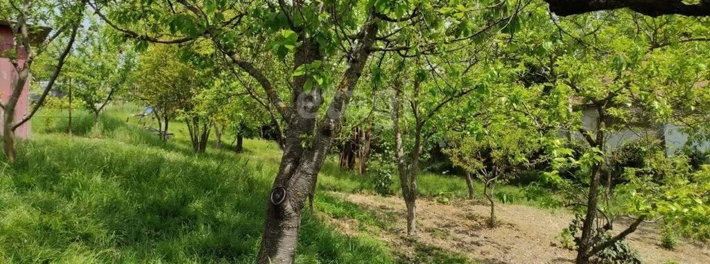 земля г Сочи с Высокое Геленджикская улица фото 3