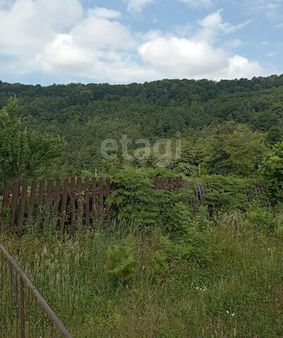 с Липники с Илларионовка р-н Адлерский Липецкая улица фото