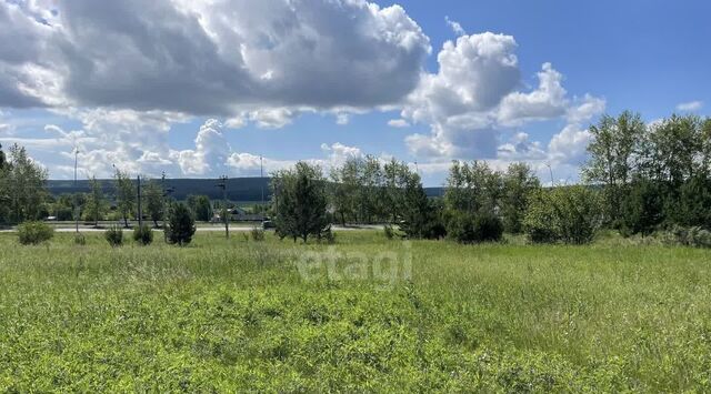 снт Василек Емельяново городское поселение фото