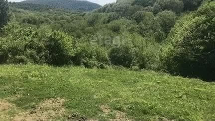 земля г Сочи с Илларионовка р-н Адлерский с Каштаны снт Знание фото 6