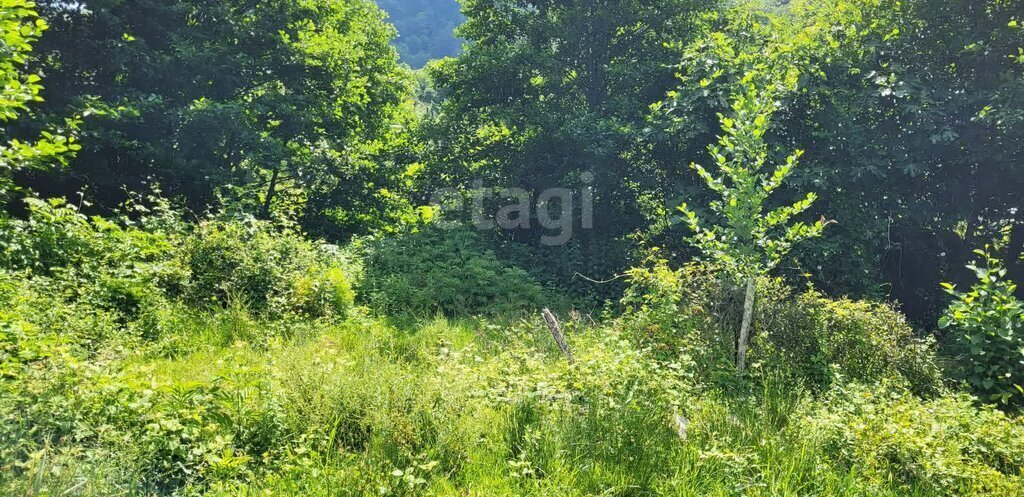 земля г Сочи р-н Хостинский с Барановка ул Армянская Хостинский район фото 7