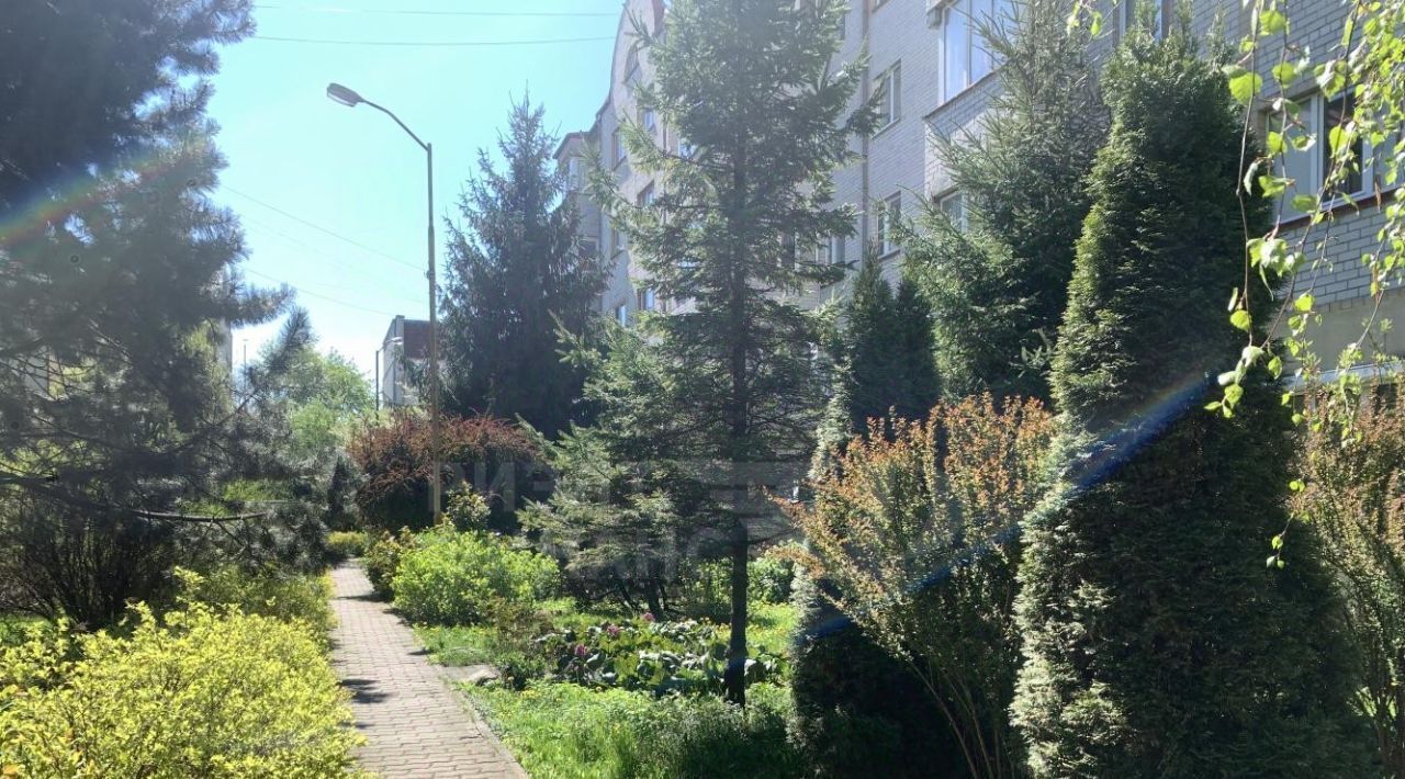 квартира г Калининград р-н Центральный ул Ростовская 9 фото 30