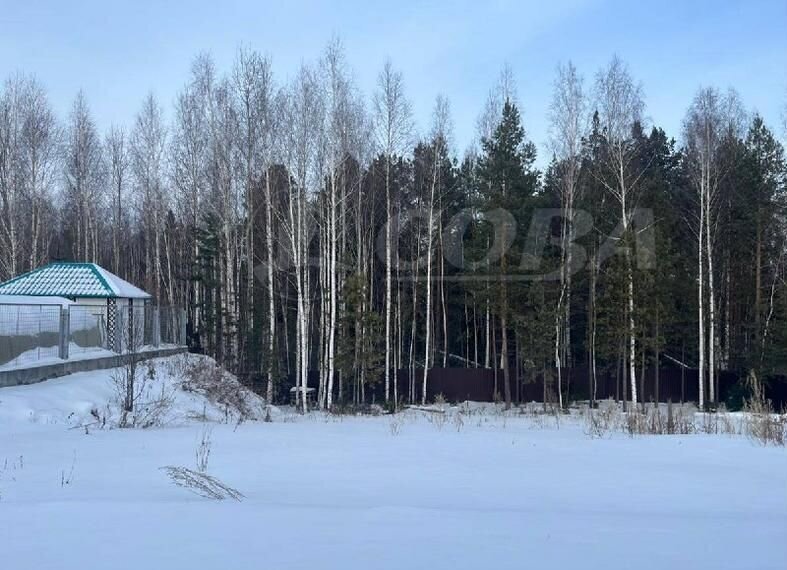 дом г Тобольск р-н мкр Строитель ул Никитина 66 фото 28