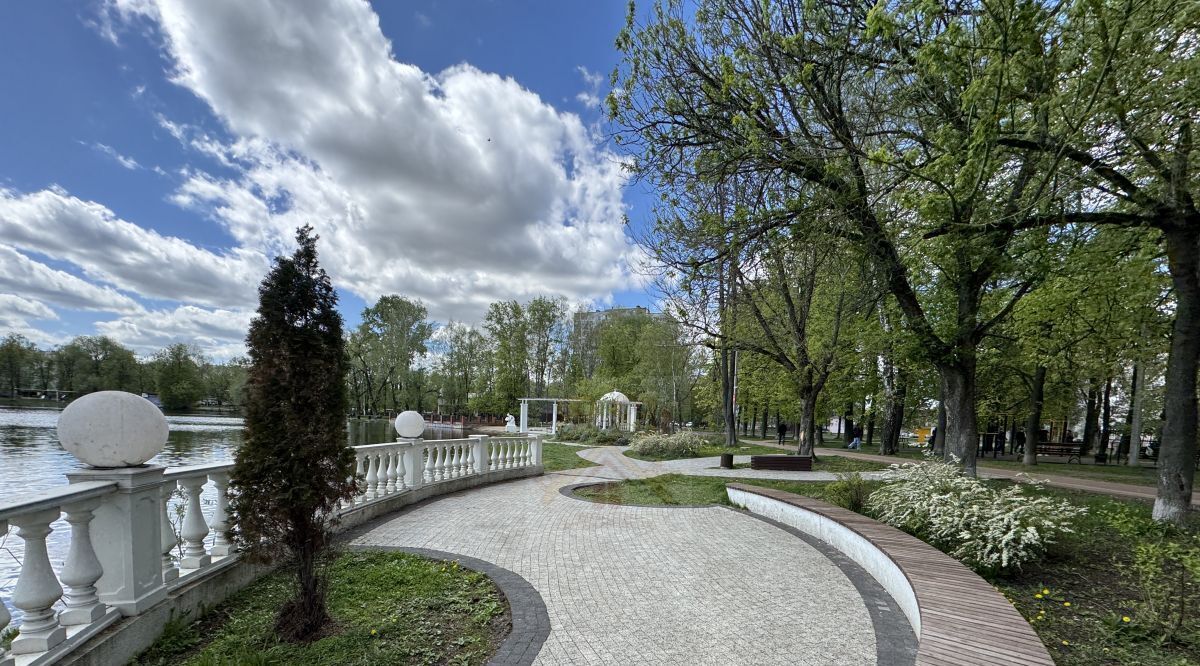 квартира г Раменское ул Красноармейская 26/1 Ипподром фото 25