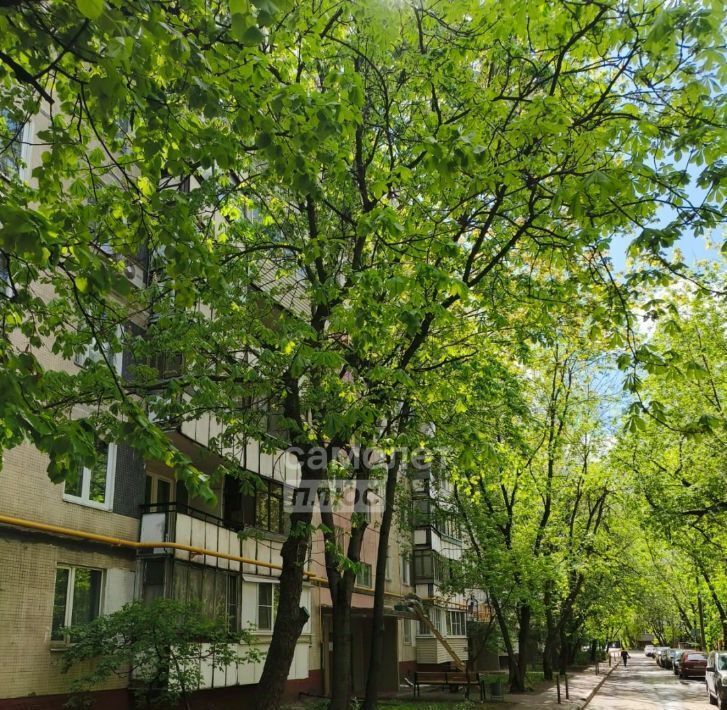 квартира г Москва метро Новогиреево ул Саянская 15к/3 муниципальный округ Ивановское фото 9