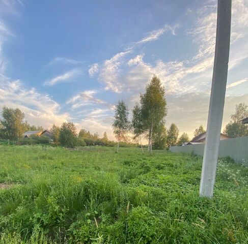 ул Рябиновая фото