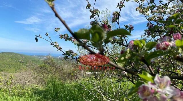 земля с Нижняя Кутузовка ул Алуштинское шоссе 6 фото