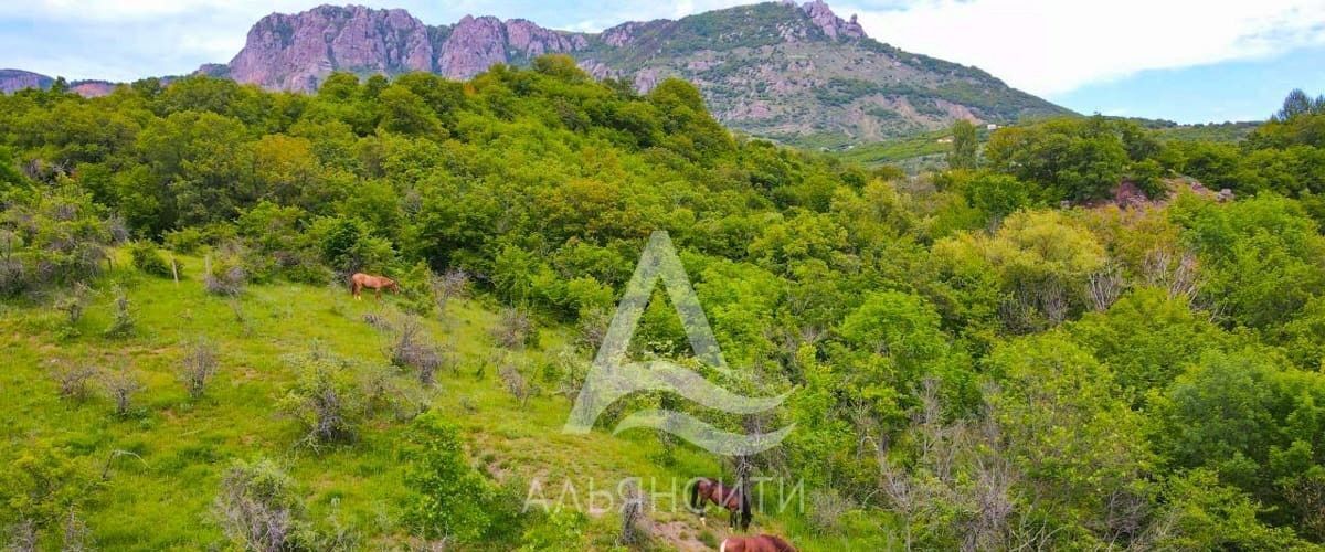 земля г Алушта с Лучистое Хармониум Вилладжио кп фото 4
