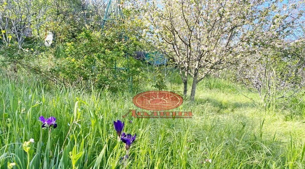 земля г Алушта с Нижняя Кутузовка ул Алуштинское шоссе 6 фото 2