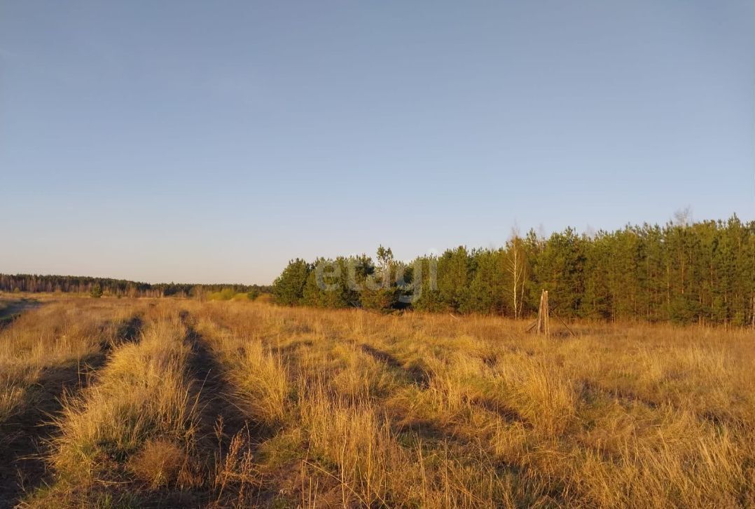 земля г Курган мкр Черемухово ЧЕРЁМУХОВО микрорайон фото 2