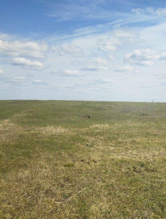 земля г Якутск с Тулагино фото 4