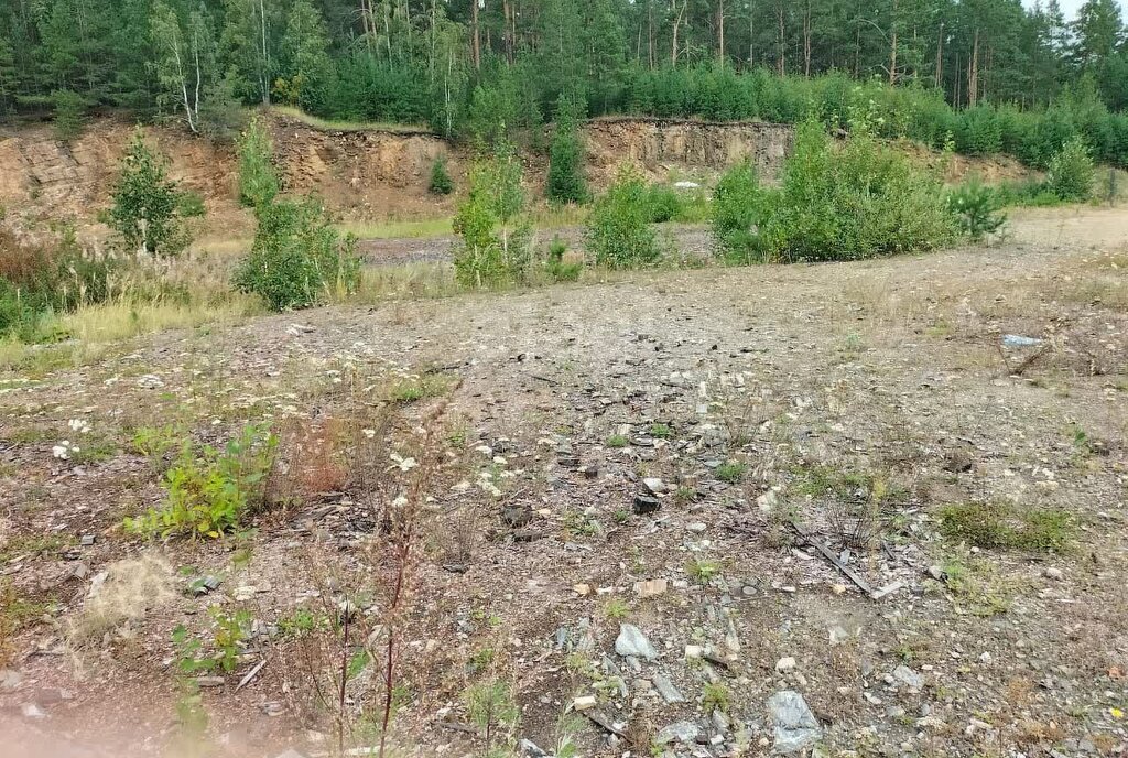 земля г Кыштым ул Куйбышева фото 3