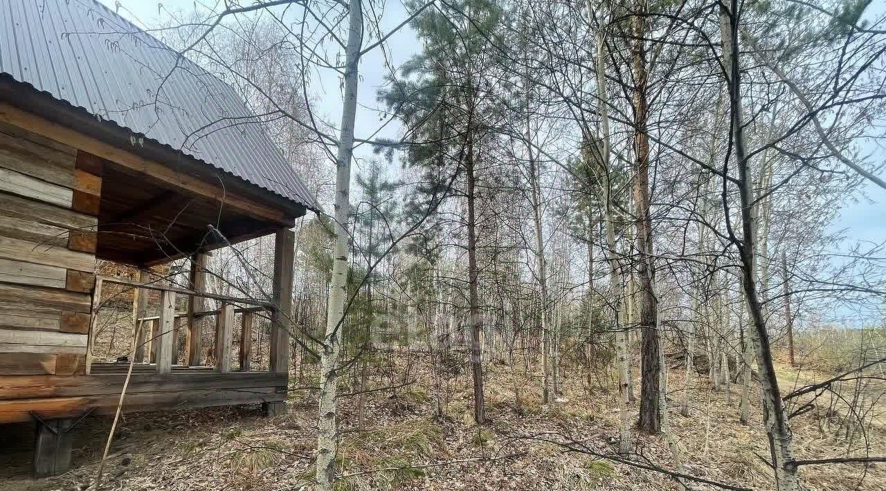 земля г Шелехов снт Багульник 2 фото 4