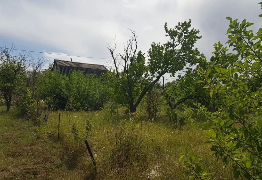 земля г Ставрополь р-н Октябрьский садовое товарищество Земляне фото 3
