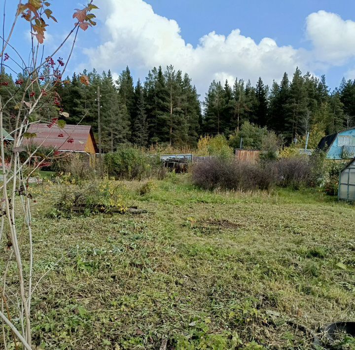 земля г Екатеринбург снт Восток СОТ, Ревда фото 2