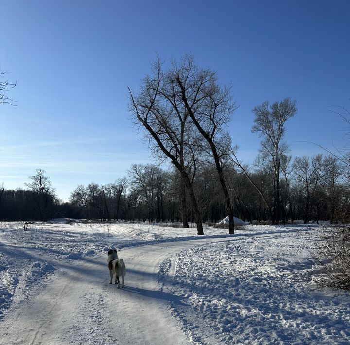 земля г Энгельс ул Тургенева 26в/1 фото 3