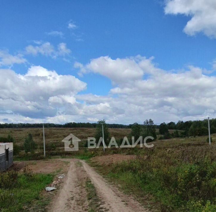 земля г Владимир с Мосино р-н Ленинский фото 5