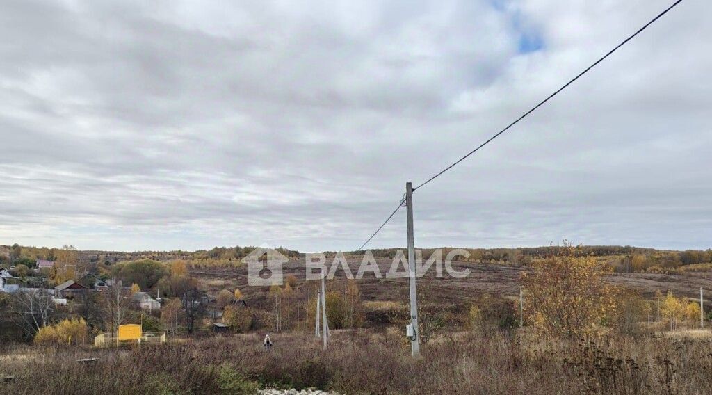 земля г Владимир с Мосино р-н Ленинский фото 9