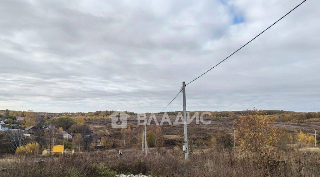 земля г Владимир с Мосино ул Берёзная р-н Ленинский фото 5
