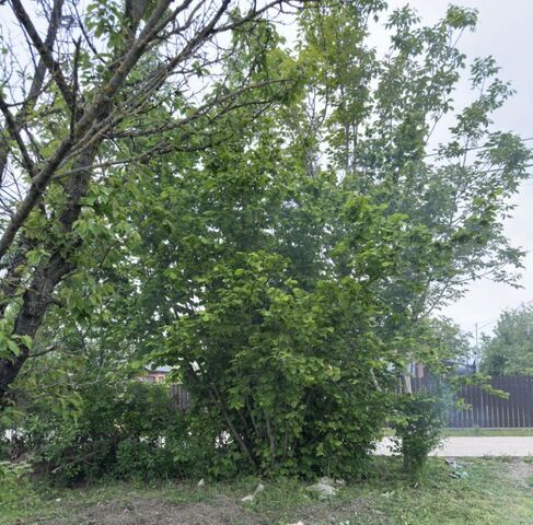 земля ст-ца Елизаветинская снт Речник ул Рындовая 656 р-н Прикубанский фото