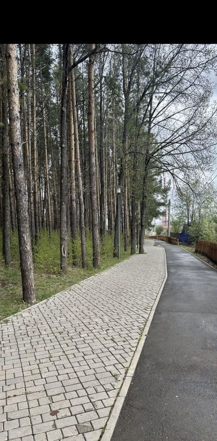 земля р-н Агрызский г Агрыз Республика Татарстан Татарстан, муниципальное образование Агрыз, садоводческое товарищество Сосновый Бор, 1-я ул., 20 фото 7