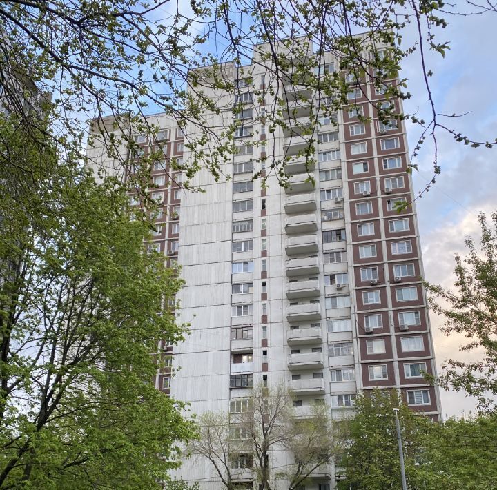 квартира г Москва метро Алма-Атинская ул Борисовские Пруды 22к/1 муниципальный округ Братеево фото 23