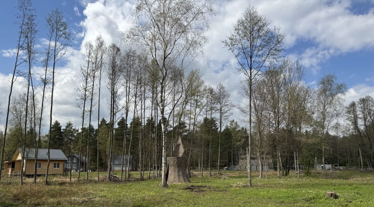 земля г Щёлково снт Южный зона, Удельная, 15, Богородский городской округ фото 2