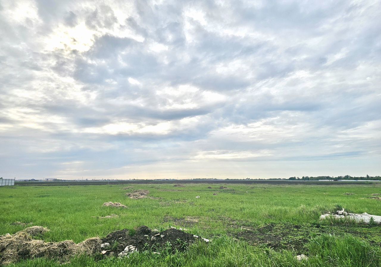 земля г Краснодар п Дружелюбный р-н Прикубанский фото 2