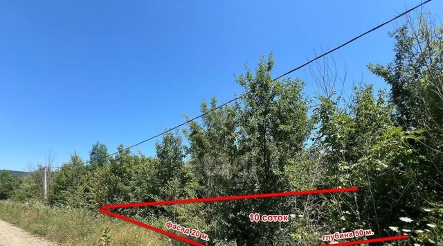 земля с Безымянное фото
