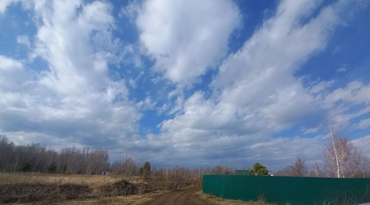земля г Копейск снт Курочкино-2 фото 2