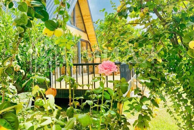пгт Красная Поляна микрорайон 2-й Садовый фото