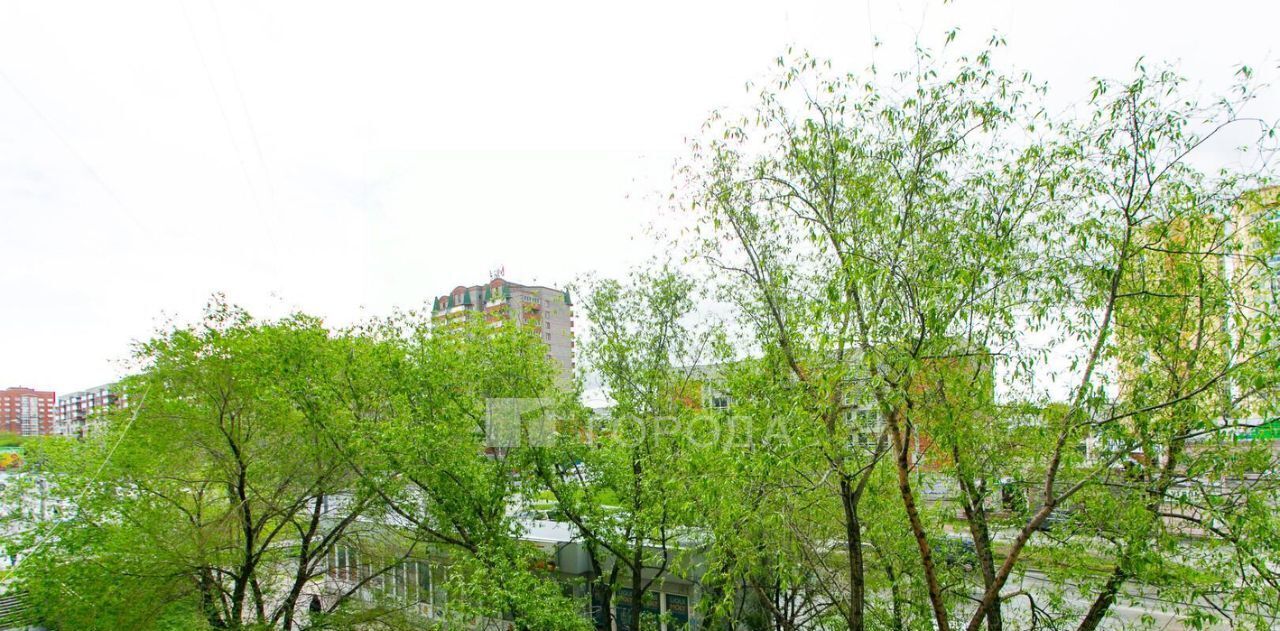 квартира г Новосибирск ул Станиславского 36 Площадь Маркса фото 28